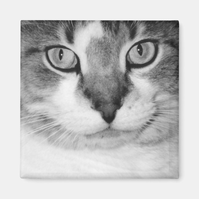 Picker le aimant (Devant)