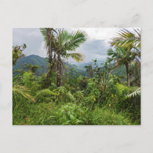 Pics et vallées d'el yunque carte postale