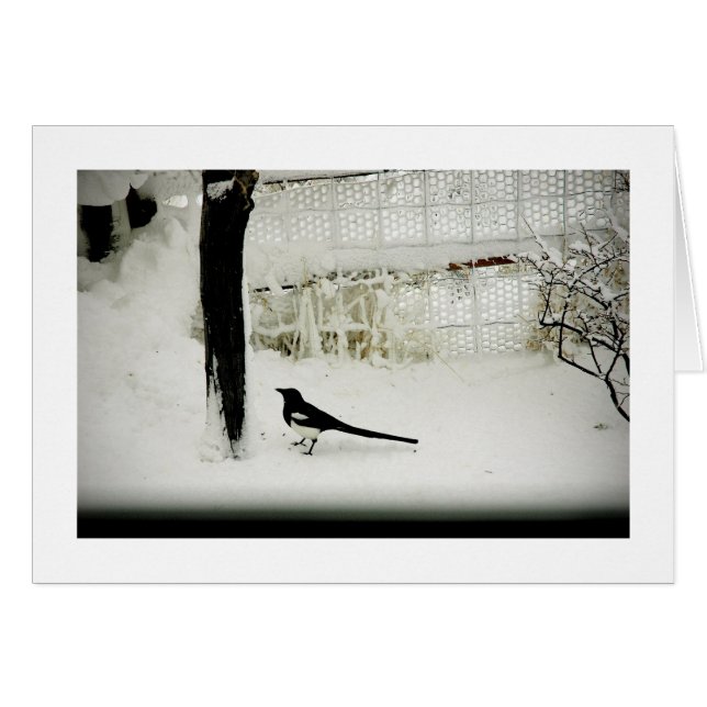 Pie de photo de beaux-arts dans la neige par (Devant horizontal)