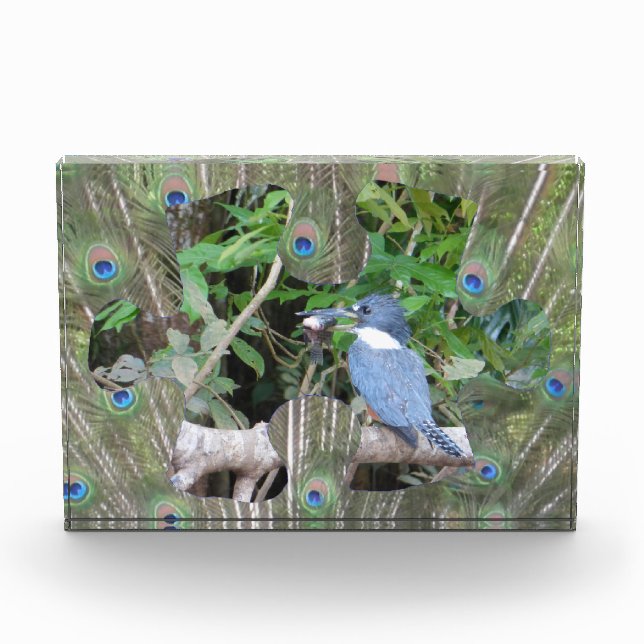 Pièce du Puzzle Pièce du bloc photo (Devant)