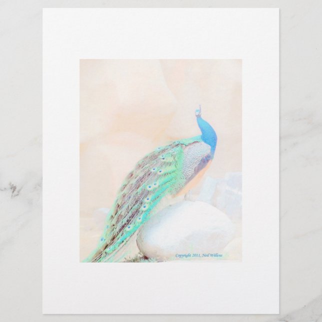 Pièce fixe (Devant)