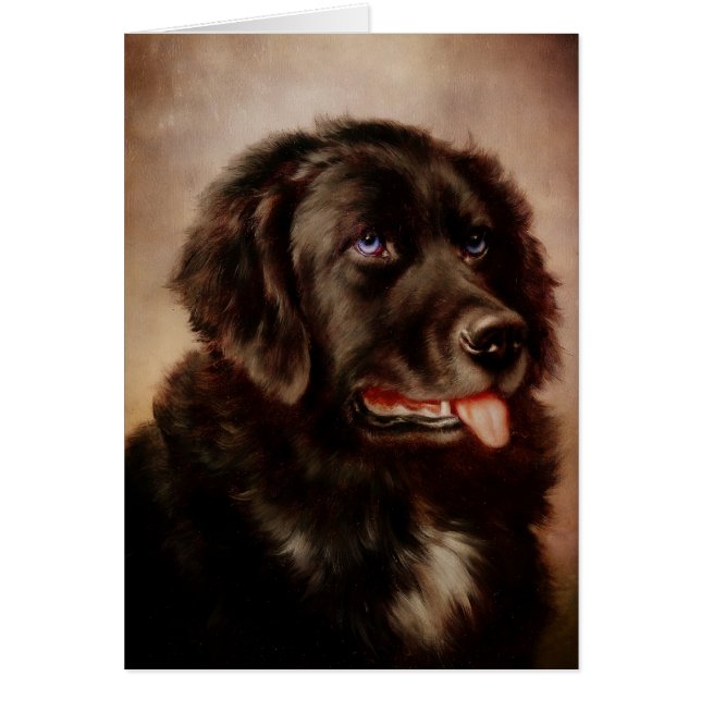 Pièce jointe Canine (Devant)