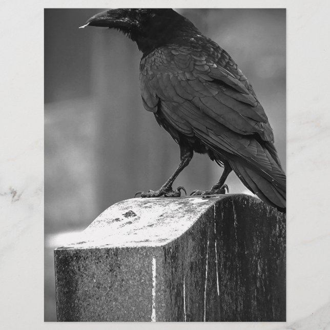 Pièce Trouvée (Devant)