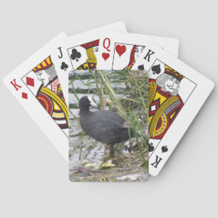 Pied sur les cartes de jeu Riverbank