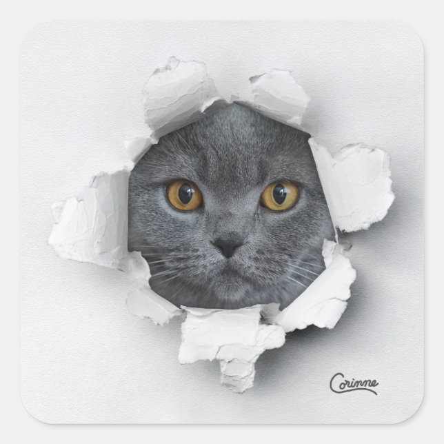 Piège de chat - Stickers d'enveloppe (Devant)