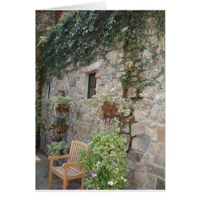 Pierre et lierre avec banc de jardin (Devant)