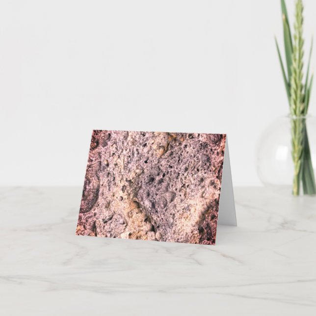 Pierre poreuse | Filtre Sangria | (Devant)