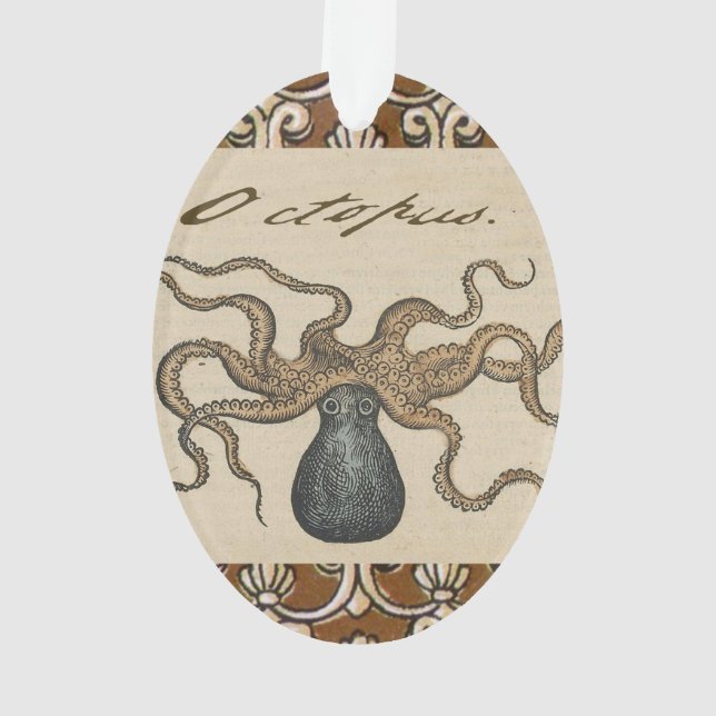 Pieuvre Kraken Antique Faune Marine Côtière (dos)