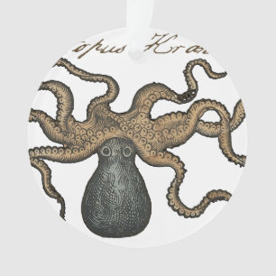 Pieuvre Kraken Antique Faune Marine Côtière