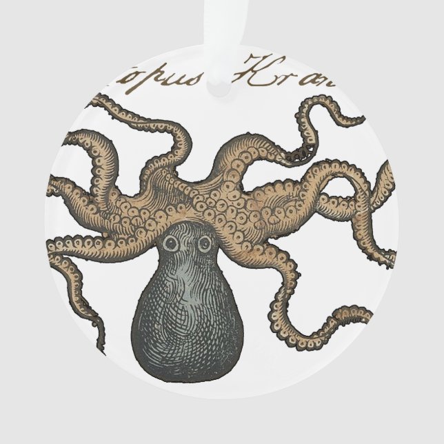 Pieuvre Kraken Antique Faune Marine Côtière (devant)