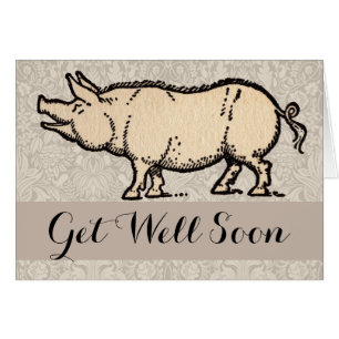 Pig Antique Piggy Cute Illustration Vintage