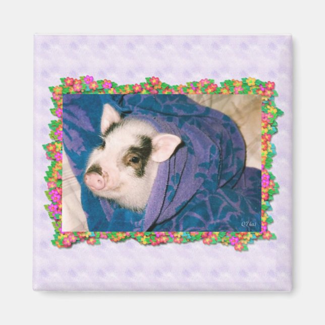Pig dans l'enveloppement de serviette Magnet Carré (Devant)