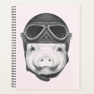 Pig Daredevil