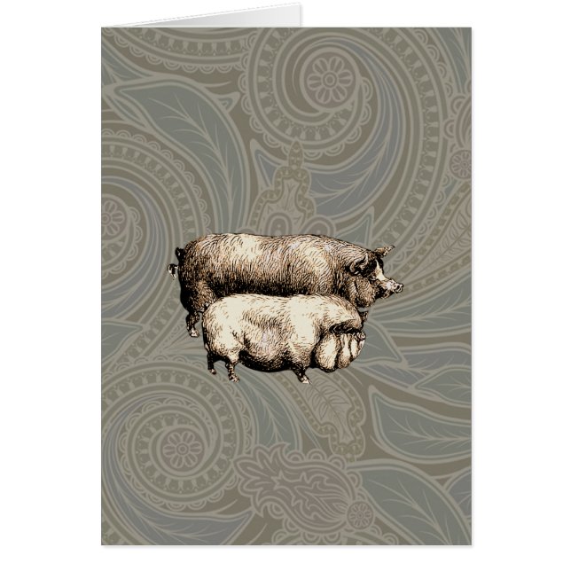 Pig Farm Pays Antique Illustration Art (Devant)