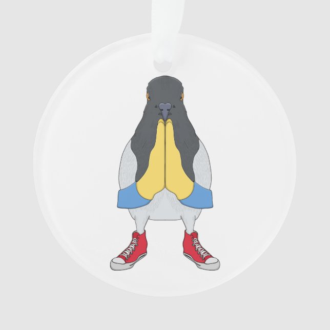 Pigeon avec chaussures (devant)