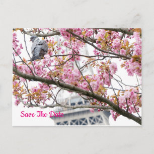 Pigeon Bird Eiffel Enregistrer La Date Tour Carte 