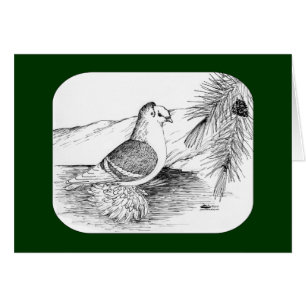 Pigeon Bouclier Saxon 1973