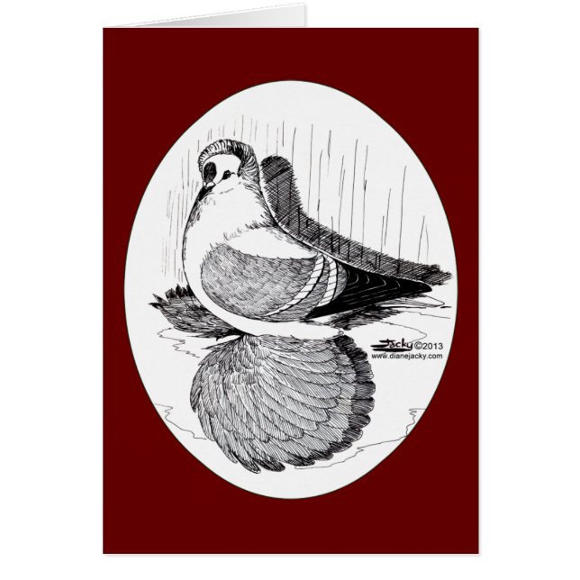 Pigeon hirondelle de fée 1978 (Devant)