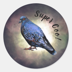 Pigeon, super coo ! Sticker rond classique