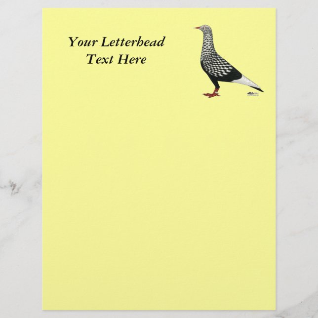 Pigeon Volant Teager (Devant)