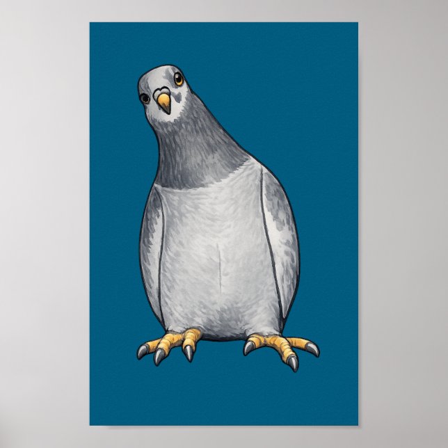 Pigeons gris blanc - Affiche turquoise (Devant)