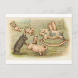 Piggies en jeu Carte postale Vintage