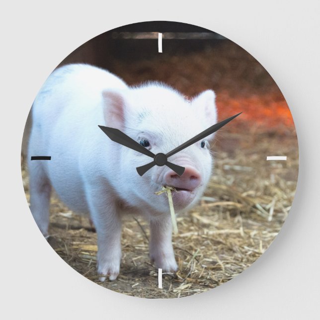Piggin' Out Farm Life Horloge (Recto)