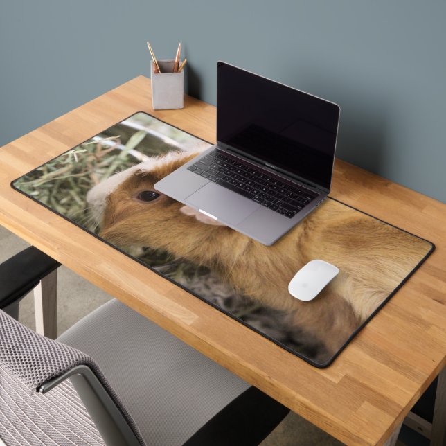 Piggy (Bureau 2)
