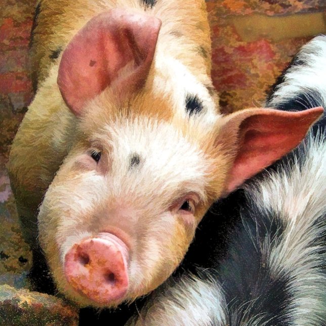 PIGS CAFÉ MUG (Créateur téléchargé)