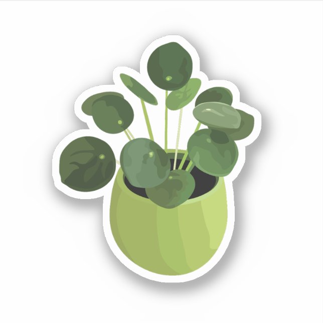 Pilea Peperomioides House Sticker Plante (Devant)