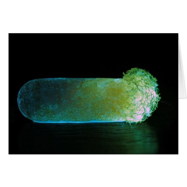 Pilule lumineuse (Devant horizontal)