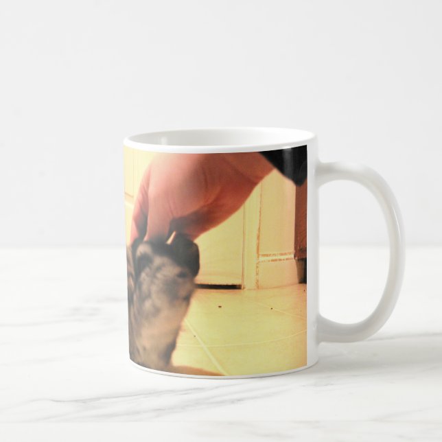 Piments enfin à la maison de tasse de chinchillas (Droite)