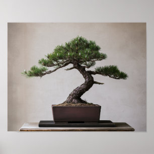 Pin noir japonais Bonsaï   Art mural zen