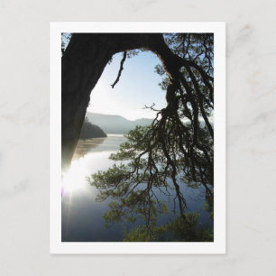 Pin penché : Friar's Crag, Carte Postale Derwentwa
