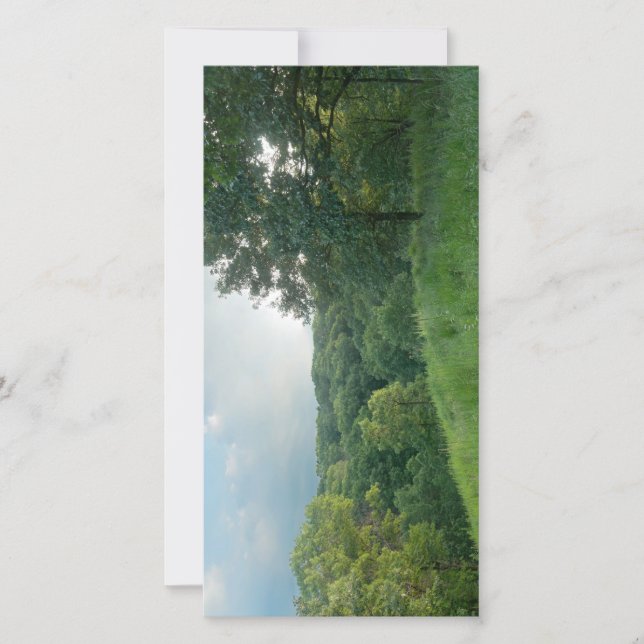 Pine Bend Bluff Surplombant Vallée Bois (Devant)