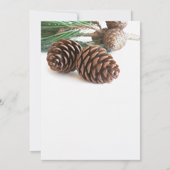 Pine branch and cones (Devant)