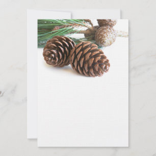 Pine branch and cones