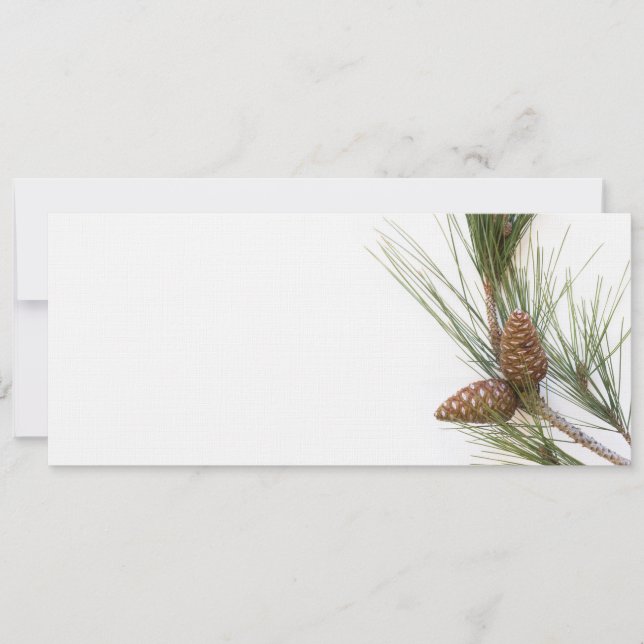 Pine branch and cones (Devant)