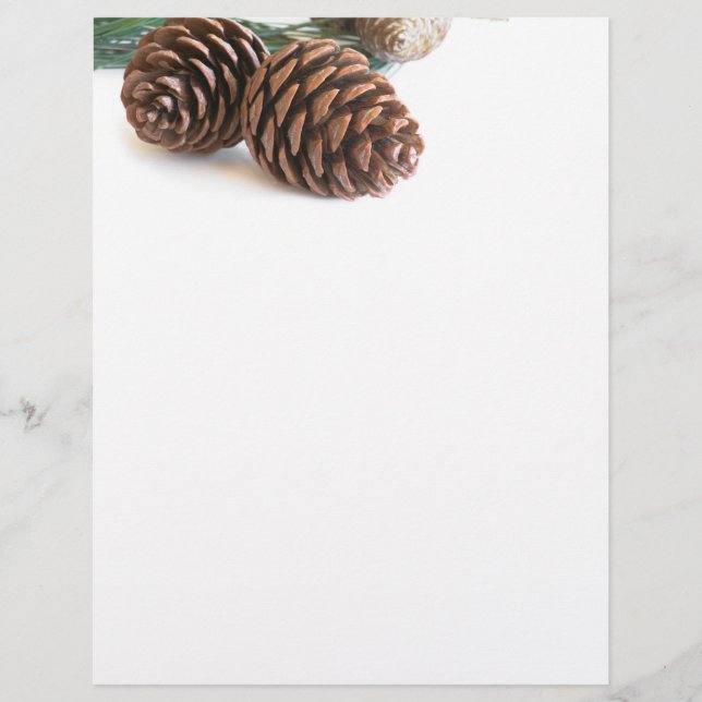 Pine branch and cones (Devant)
