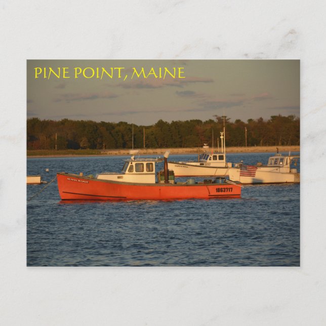 Pine Point, carte postale Maine (Devant)