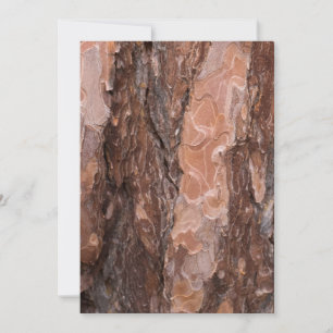 Pine tree bark