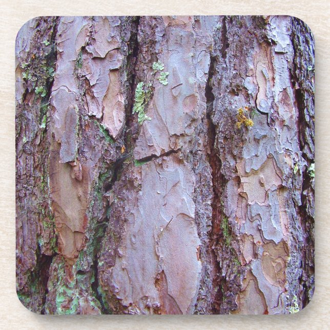 Pine Tree Bark Dessous de verre en plastique dur (Devant)