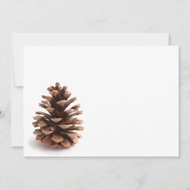Pinecone (Devant)