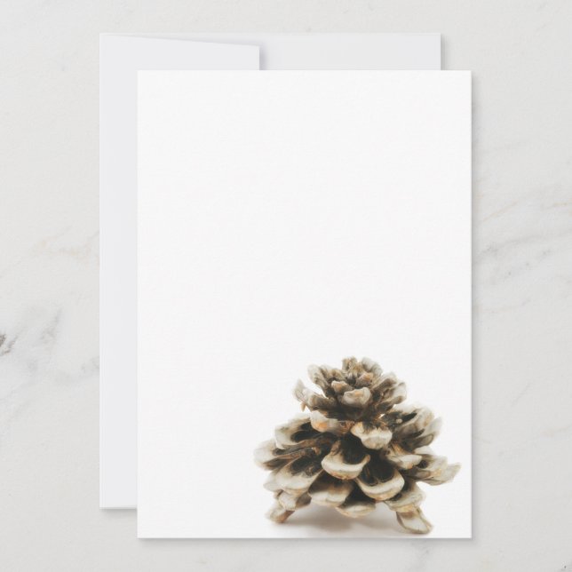 Pinecone (Devant)