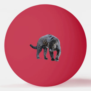 Ping Pong Jaguar Diablo 1 étoile rouge balle de ping-pong