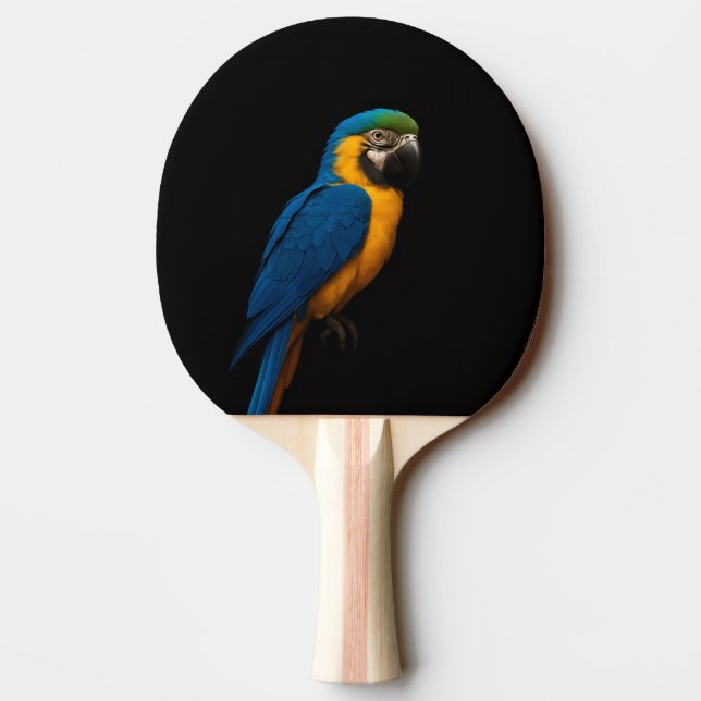 Ping Pong Raquette de ping-pong Black 4 Luxe, Ara bleu et ja (Dos)