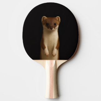 Ping Pong Raquette de ping-pong Black 4 Luxe, Belette élégan