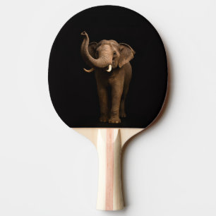 Ping Pong Raquette de ping-pong Black 4 Luxe, Mighty Elephan
