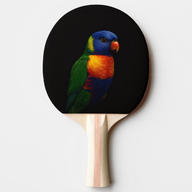 Ping Pong Raquette de ping-pong Black 4 Luxe, perroquet Lori (Dos)