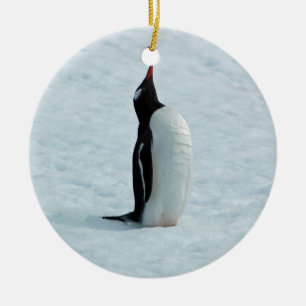 Pingouin de Gentoo en ornement de l'Antarctique